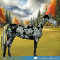 Horse Color:ERROR: UNKNOWN ANOMALY