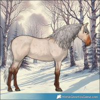 Horse Color:Silver Bay Roan Dun 