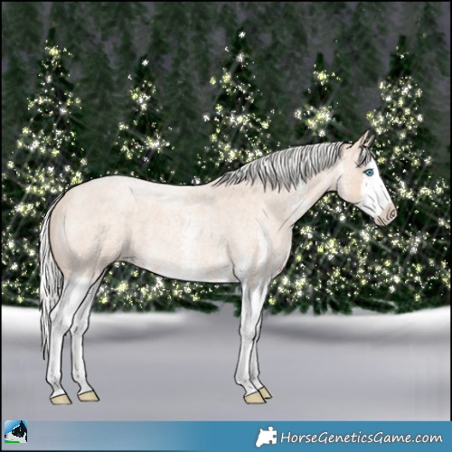Horse Color:White Spotted Silver Perlino Roan Splash Rabicano 