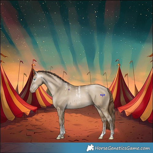 Horse Color:Powder White Gray Smoky Grullo Pearl 