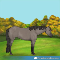 Horse Color:Smoky Grullo 