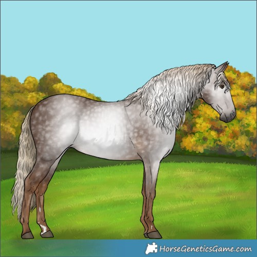 Horse Color:Gray Chocolate Palomino 