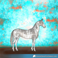 Horse Color:Silver Smoky Black Sabino Rabicano 