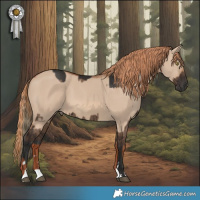 Horse Color:Liver Red Dun Brindle and Red Dun