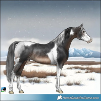 Horse Color:Brown Sabino Tobiano Rabicano 
