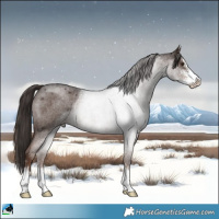 Horse Color:Liver Red Roan Sabino