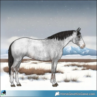 Horse Color:White Spotted Liver Red Roan 