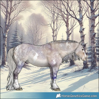 Horse Color:White Spotted Silver Brown Ice Dun Splash 