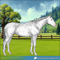 Horse Color:Brown Sabino Splash 