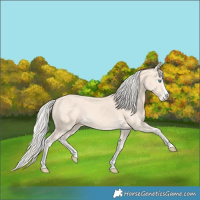 Horse Color:Cremello Splash  and Cremello Splash 