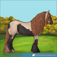 Horse Color:Liver Chestnut  and Gold Champagne Dun 