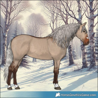 Horse Color:Silver Brown Dun