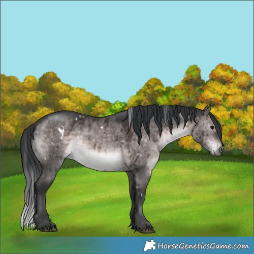 Horse Color:Platinum White Spotted Brown Dun Brindle 
