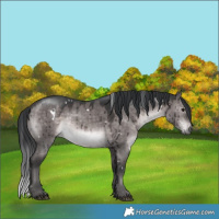 Horse Color:Platinum White Spotted Brown Dun Brindle 