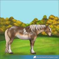 Horse Color:Chocolate Palomino Mushroom Tobiano