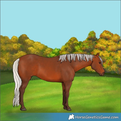 Horse Color:Silver Brown 