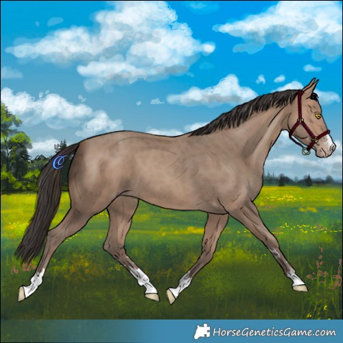 Horse Color:Sable Champagne 