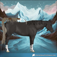 Horse Color:Liver Chestnut Mushroom 