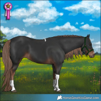 Horse Color:Liver Chestnut Tobiano 