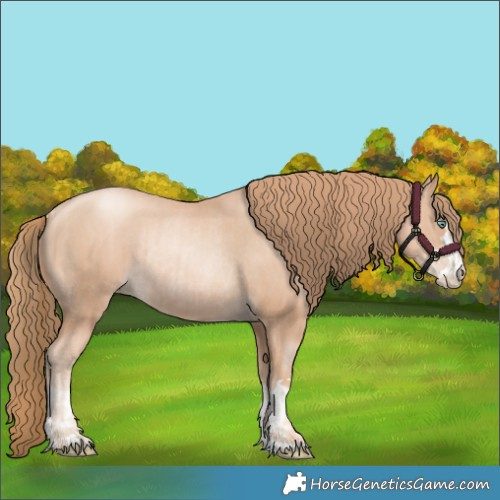 Horse Color:Gold Champagne Pearl Rabicano and Gold Champagne Pearl Rabicano