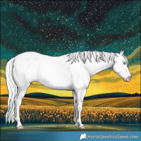 Horse Color:Cremello Leopard 