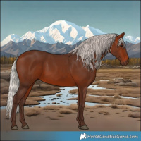 Horse Color:Silver Bay 