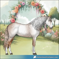 Horse Color:Gray Chestnut