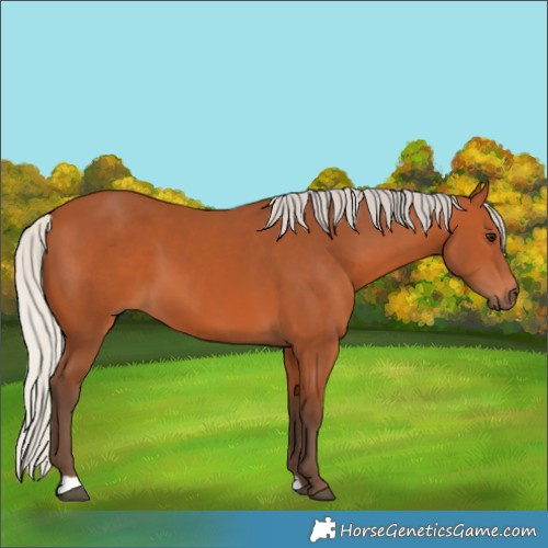 Horse Color:Silver Bay