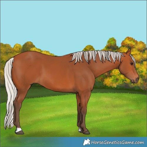 Horse Color:Silver Bay