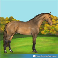 Horse Color:Buckskin Varnish 