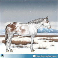 Horse Color:White Spotted Liver Chestnut Splash 