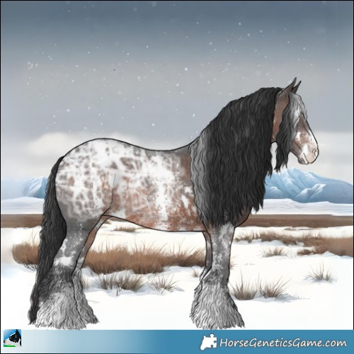 Horse Color:White Spotted Brown Ice Sabino Rabicano 