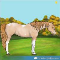 Horse Color:Red Roan Pearl Tobiano Frame 