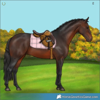 Horse Color:Brown 
