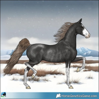 Horse Color:White Spotted Liver Chestnut Rabicano 