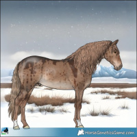 Horse Color:Liver Red Dun Brindle