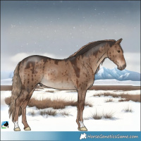 Horse Color:Liver Red Dun Brindle 
