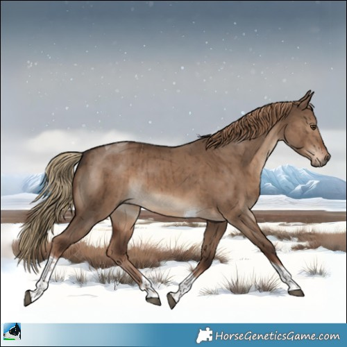 Horse Color:Liver Red Dun Tobiano Brindle 