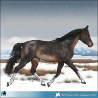 Horse Color:White Spotted Brown 