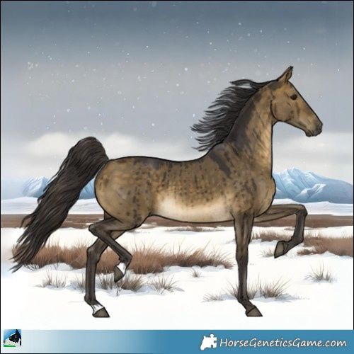 Horse Color:Buckskin Dun Brindle 