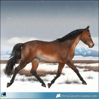 Horse Color:Brown Rabicano 