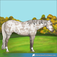 Horse Color:Silver Grullo Ice 