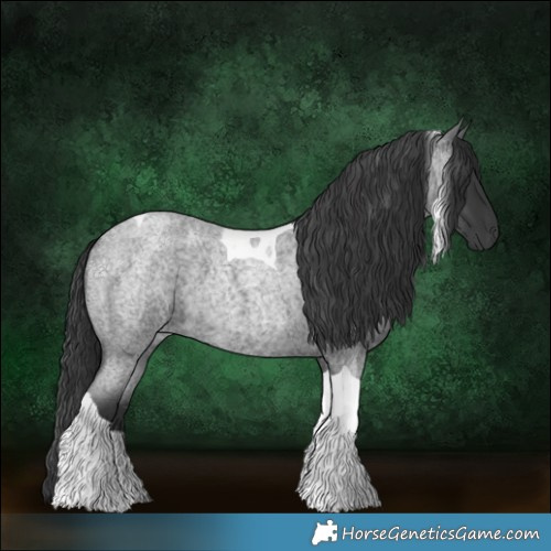Horse Color:Blue Roan Tobiano 