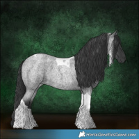 Horse Color:Blue Roan Tobiano 