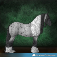 Horse Color:Blue Roan Tobiano 