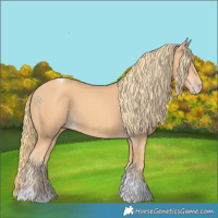 Horse Color:Gold Champagne Tobiano