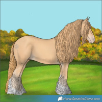 Horse Color:Gold Champagne Tobiano 