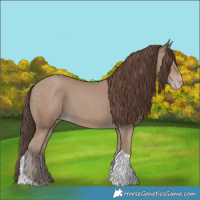 Horse Color:Classic Champagne Tobiano 