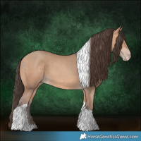 Horse Color:Amber Champagne Tobiano