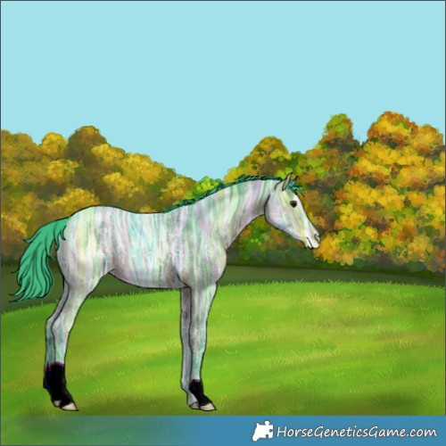 Horse Color:Watercolor Brown Ice 